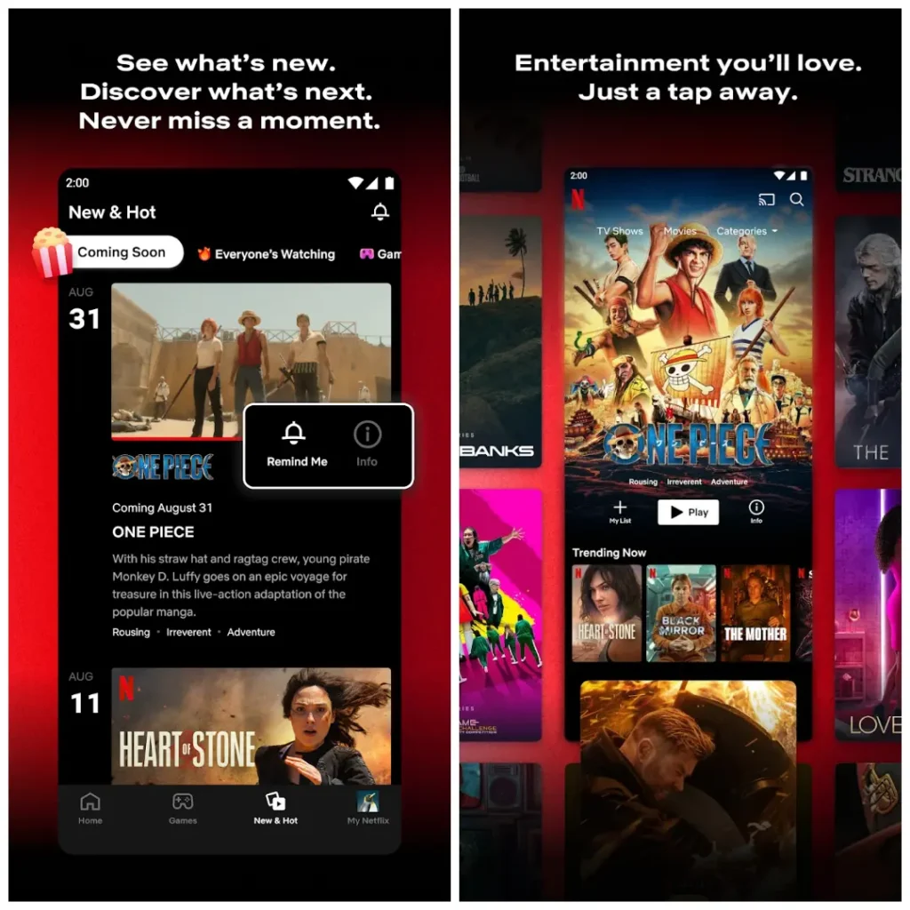 Netflix MOD APK 1